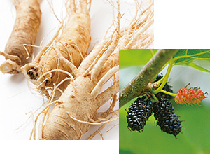 フケ、かゆみを抑える