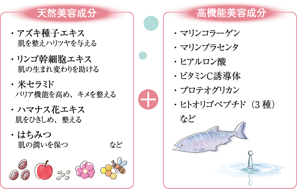 天然美容成分 高機能美容成分
