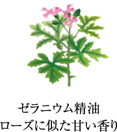 ゼラニウム精油 ローズに似た甘い香り